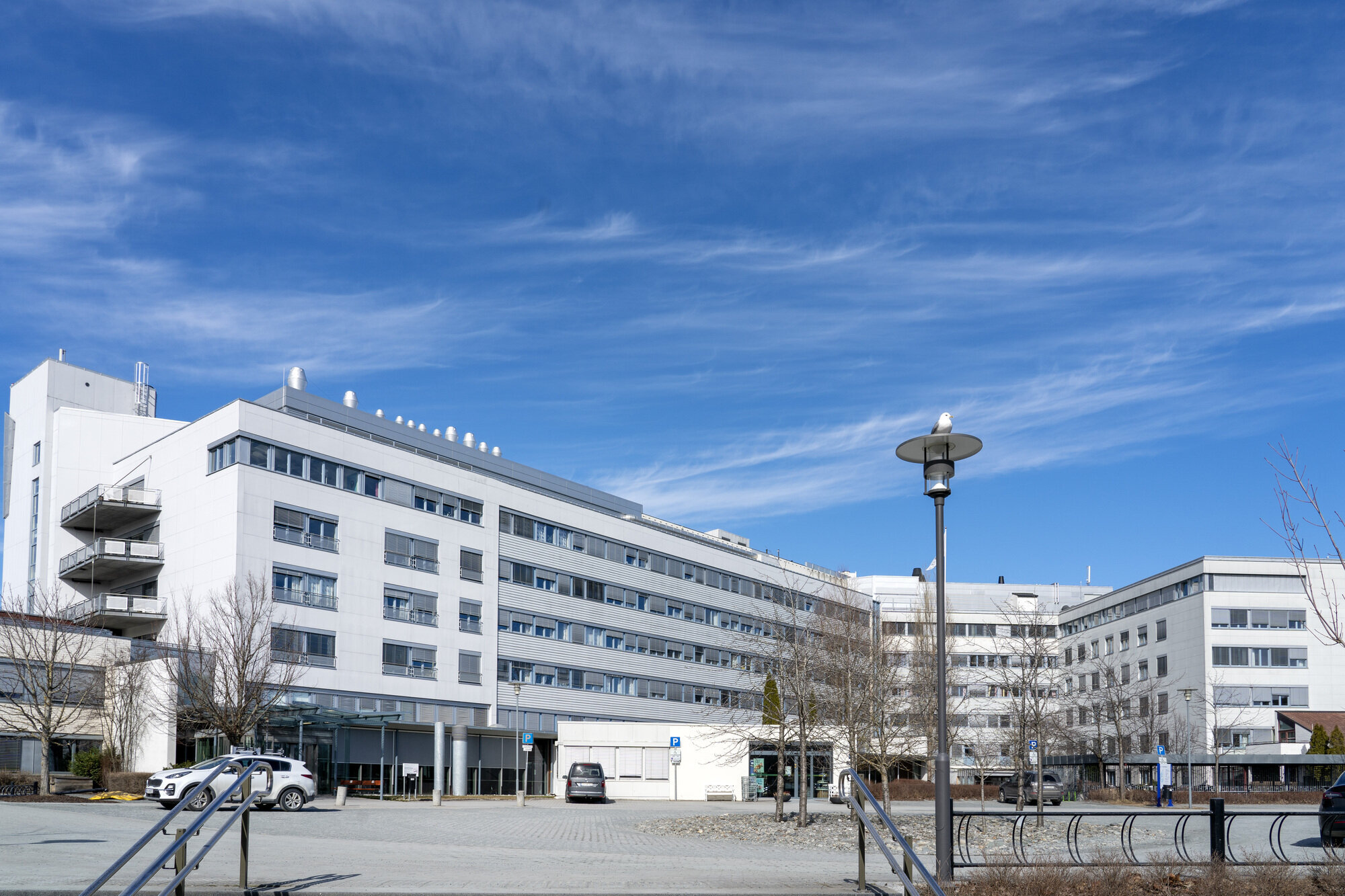 eksteriør av