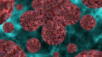 Hpv-virus Bildet viser hpv-virus.