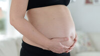 Gravid