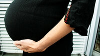 Gravid