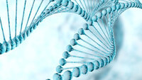DNA